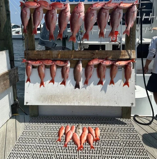 Fishing in Destin