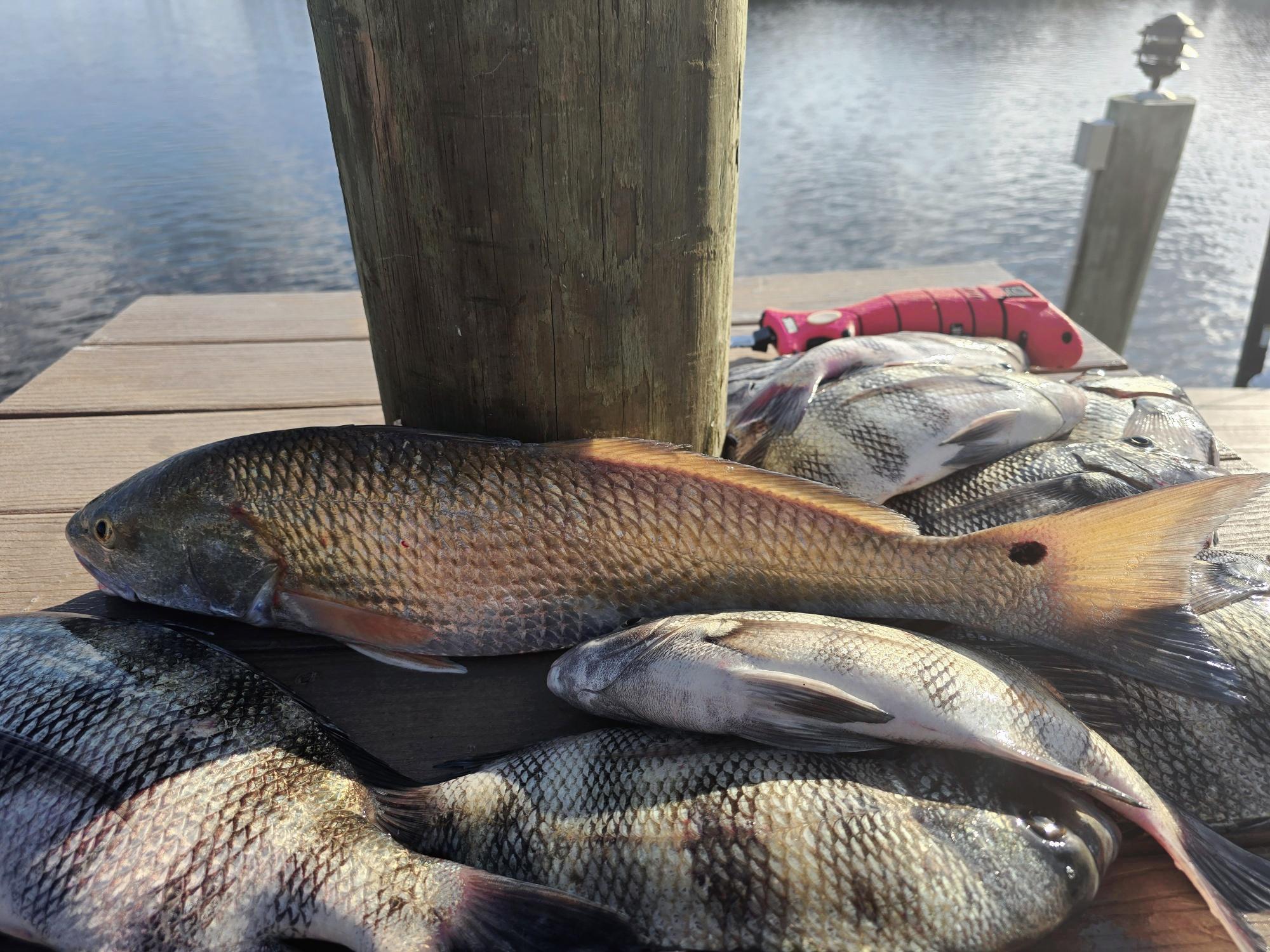 Fishing in Destin