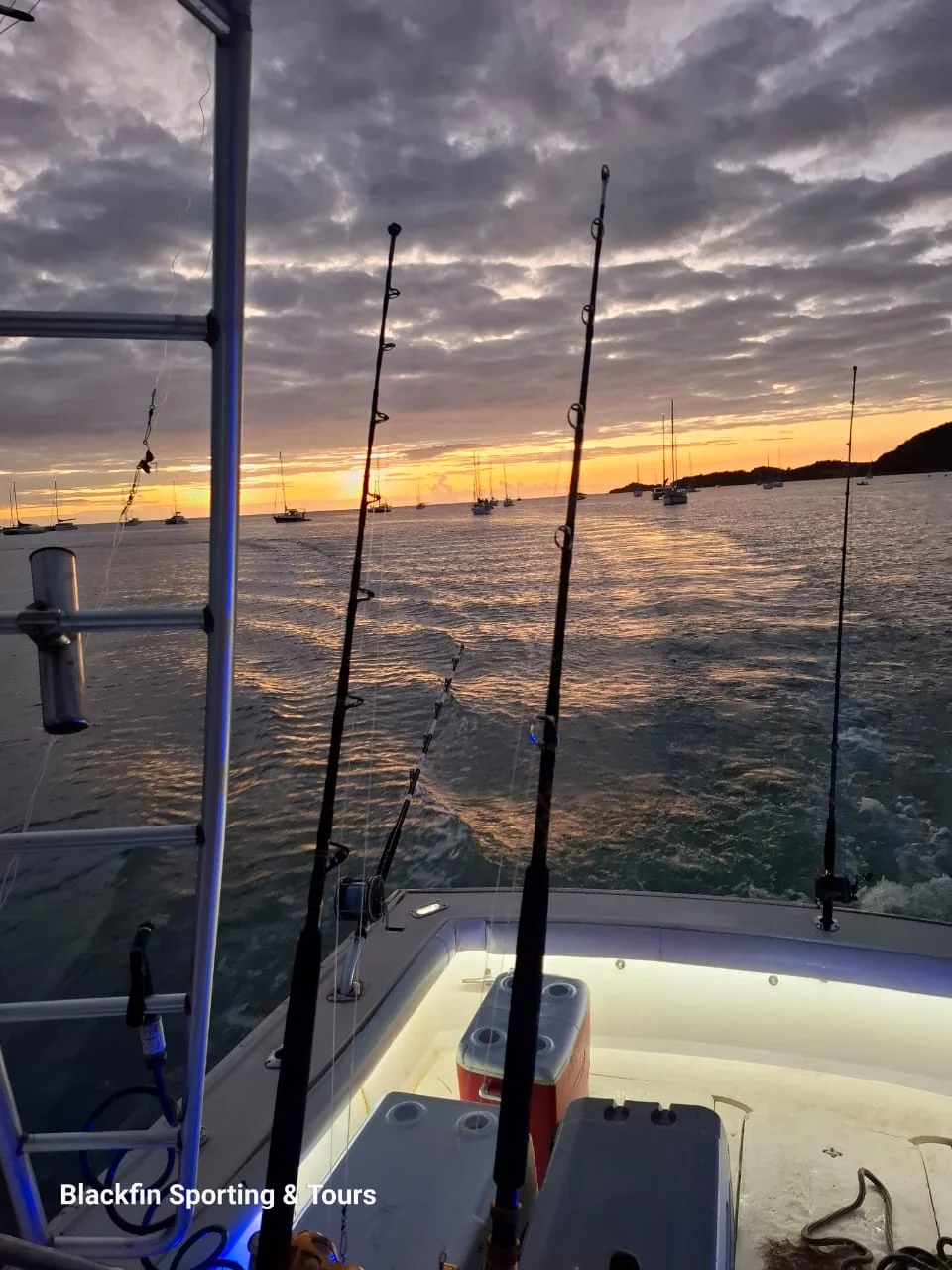 Night Fishing Charter