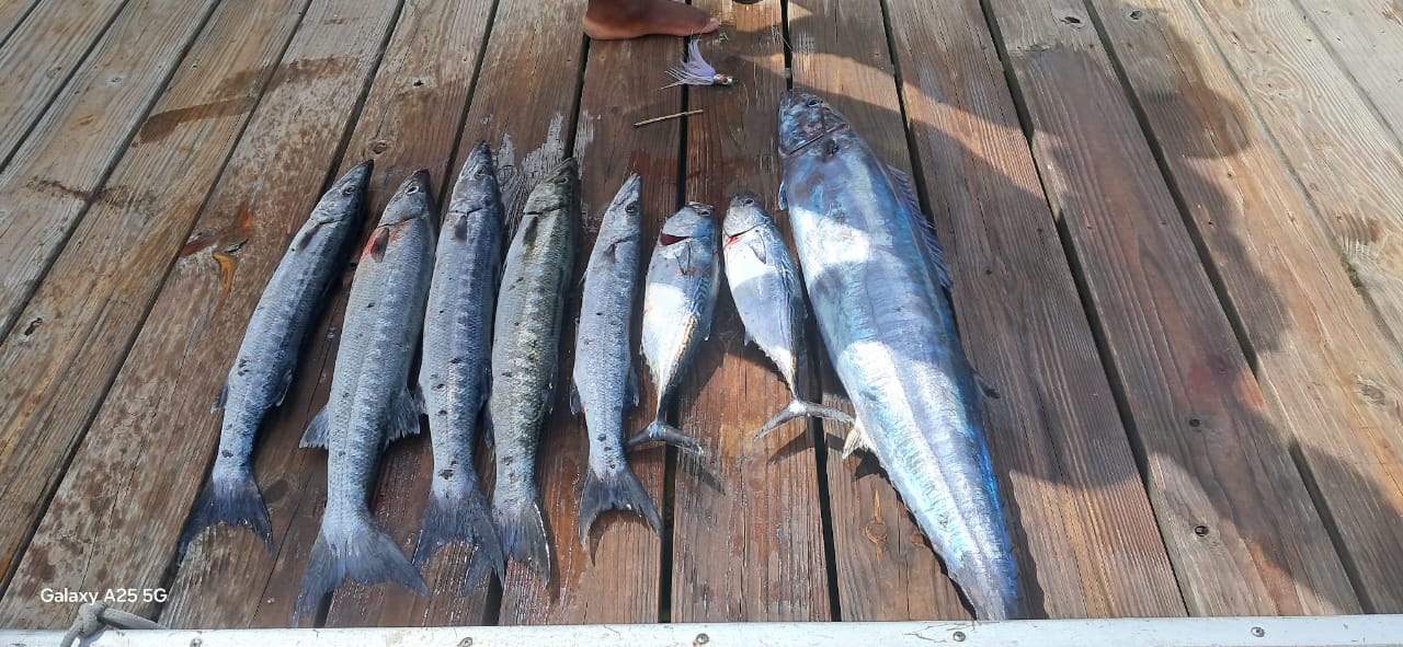 Night Fishing Charter