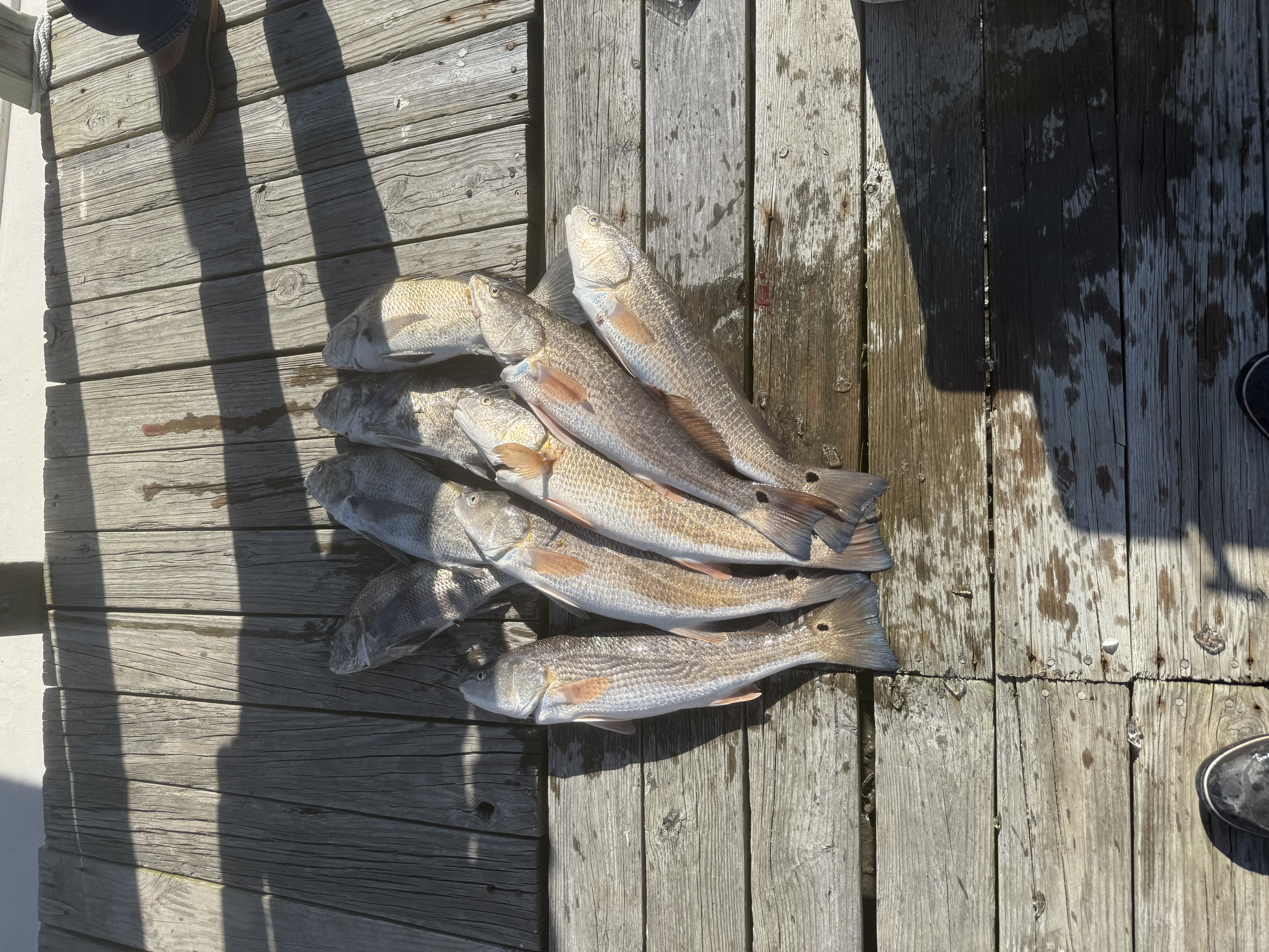Fishing in Destin