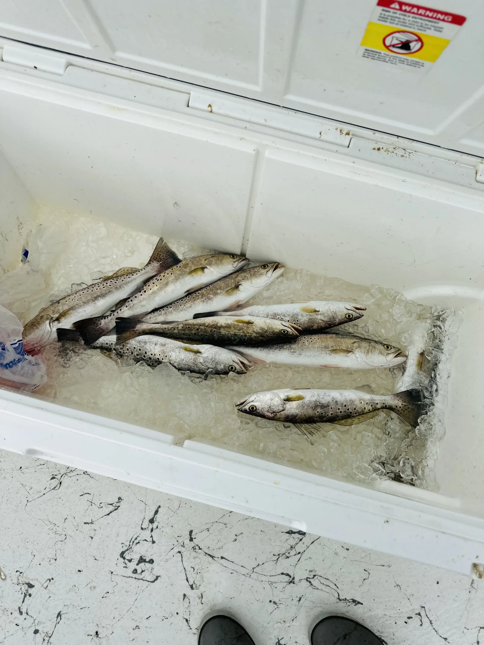 Inshore Fishing