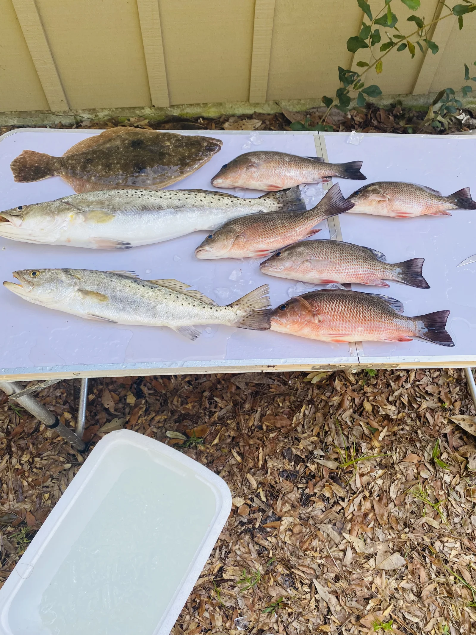 Inshore Fishing