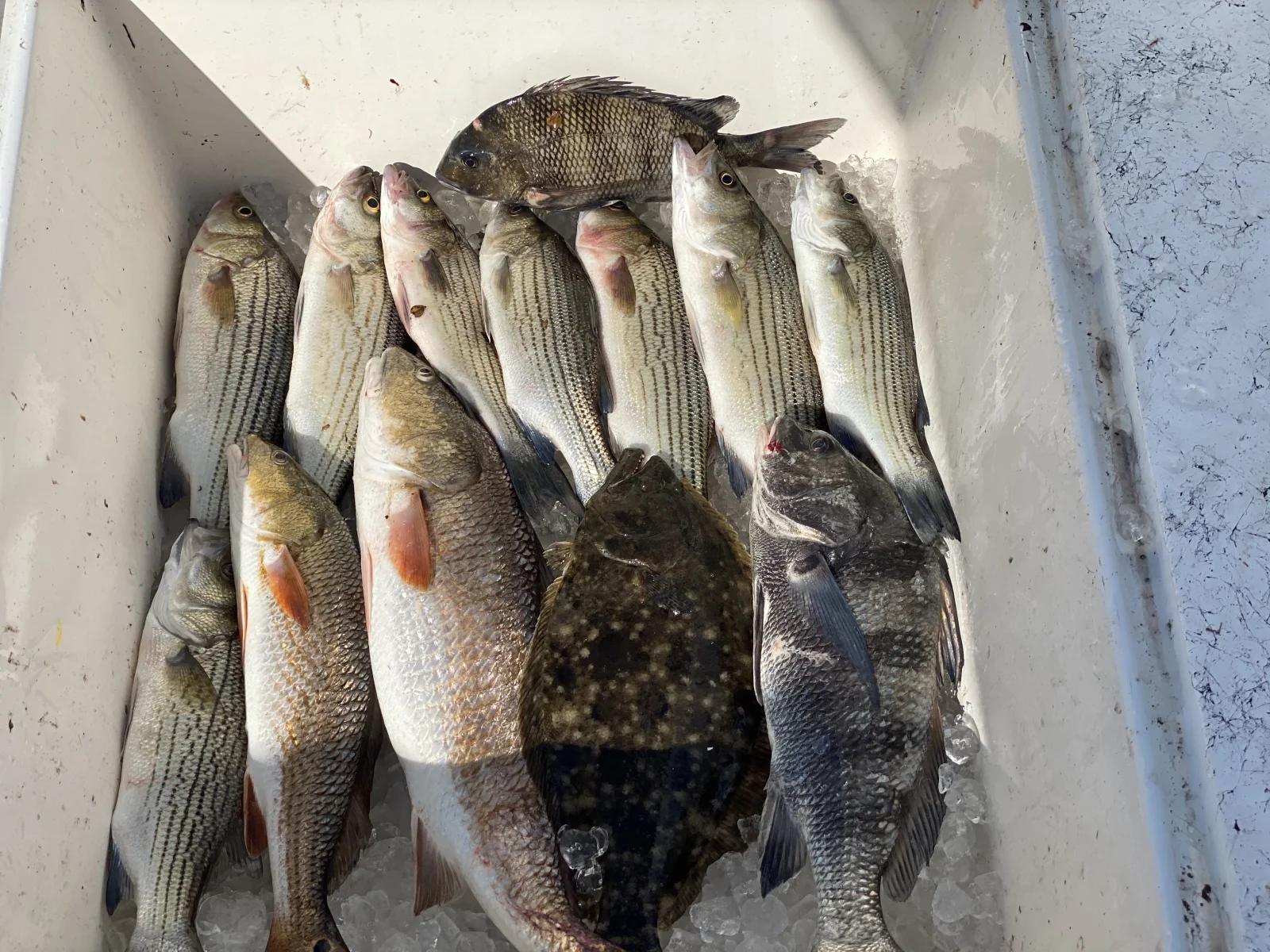Inshore Fishing
