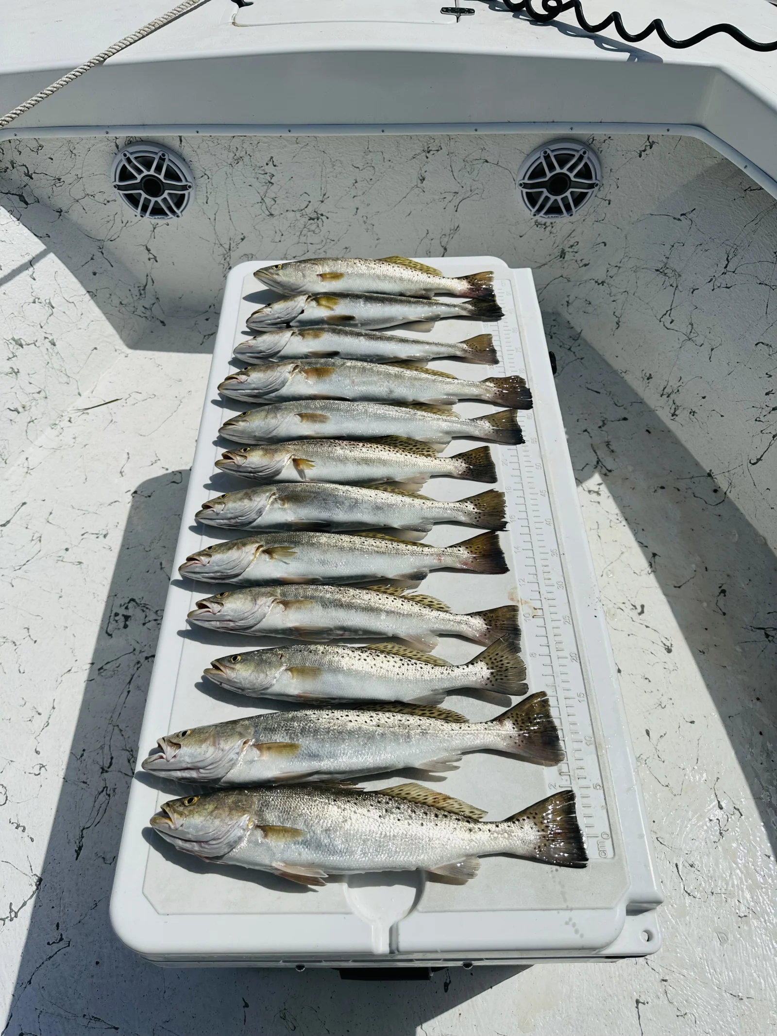 Inshore Fishing
