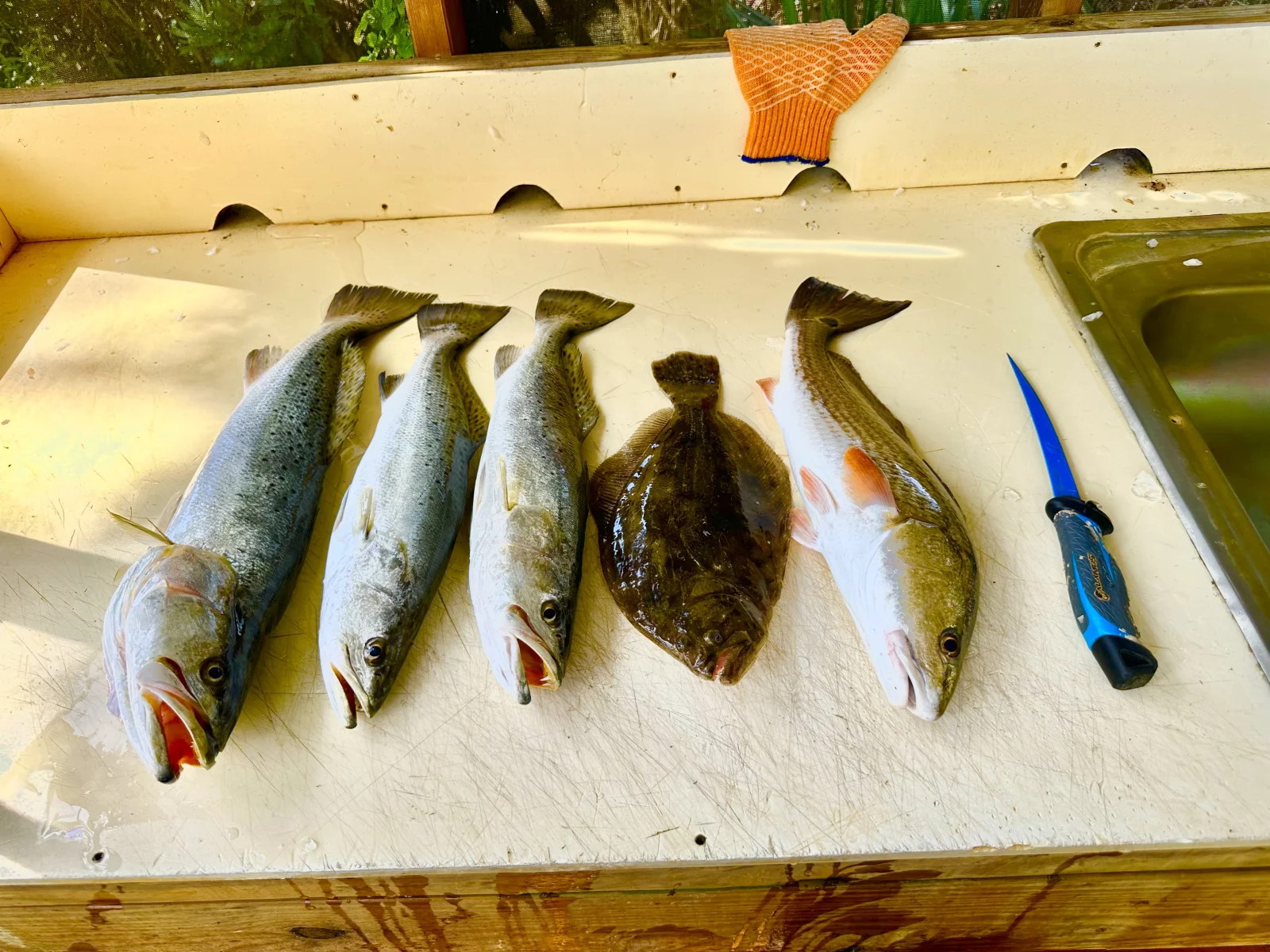 Inshore Fishing