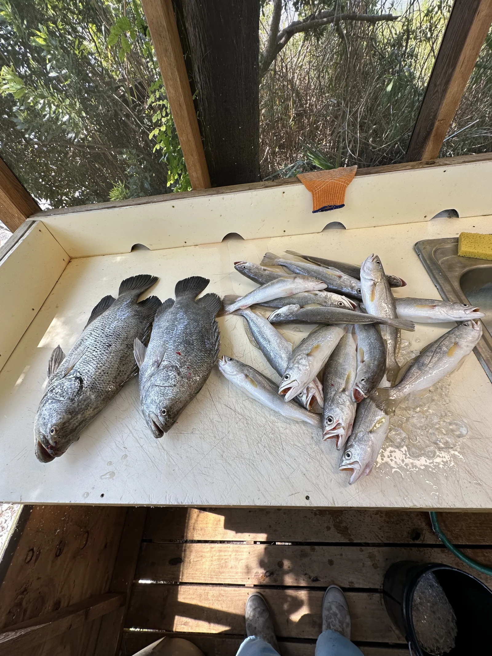 Inshore Fishing