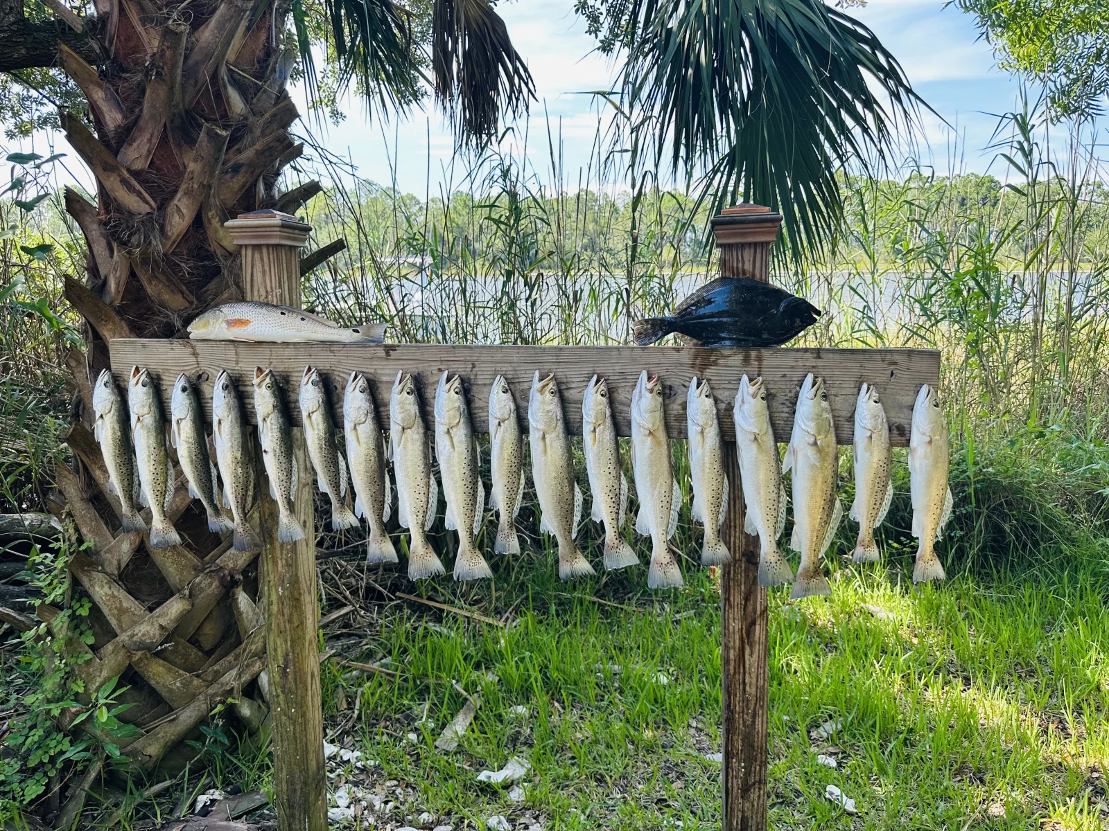 Inshore Fishing
