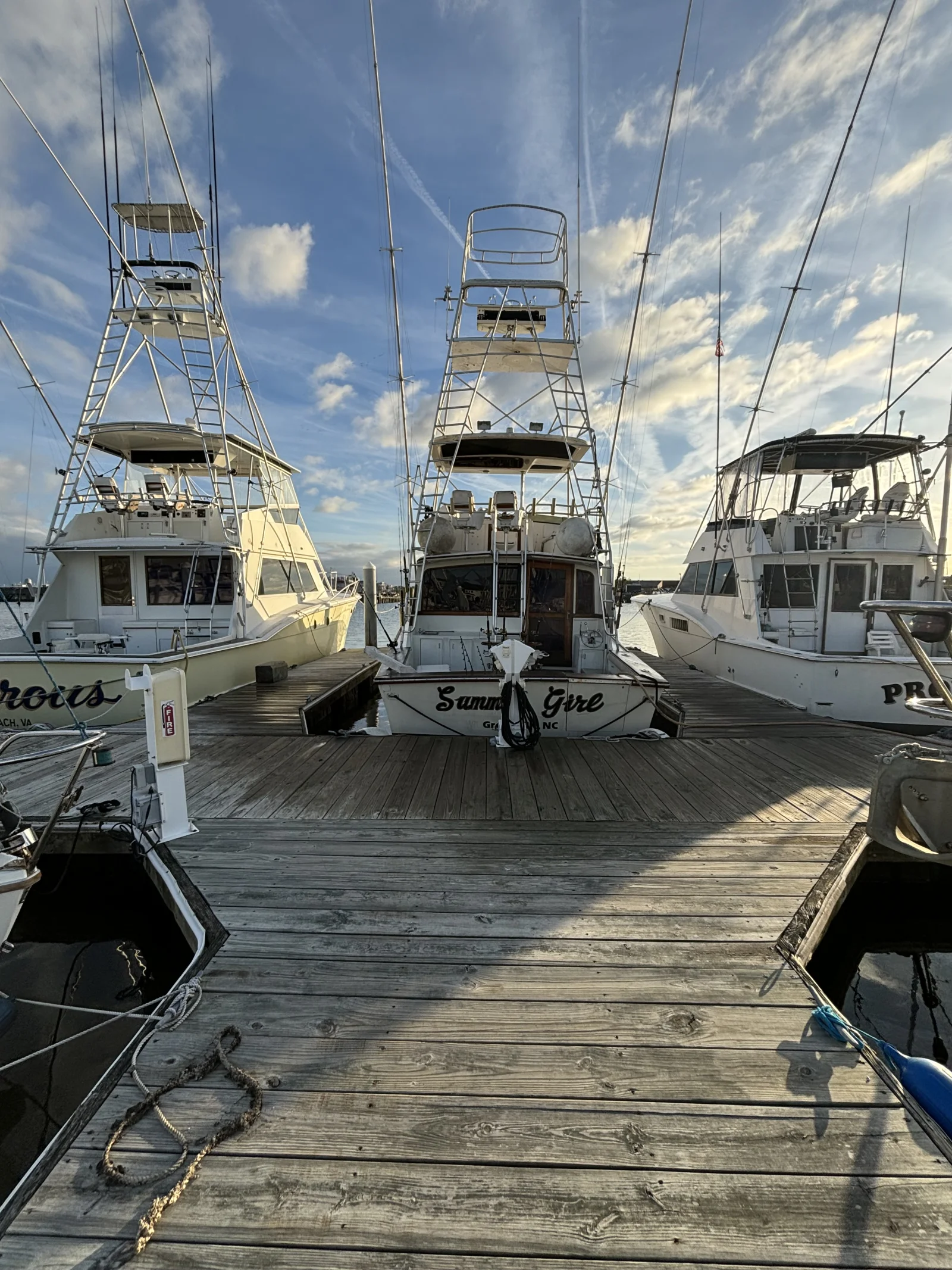 Offshore canyons 