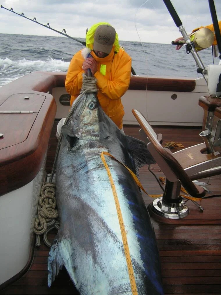 Offshore Fishing Trip