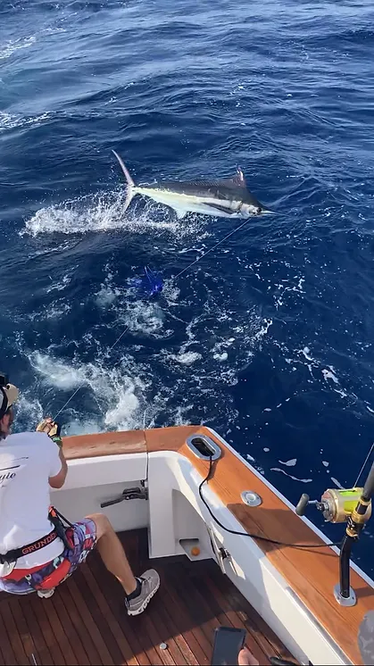 Offshore Fishing Trip