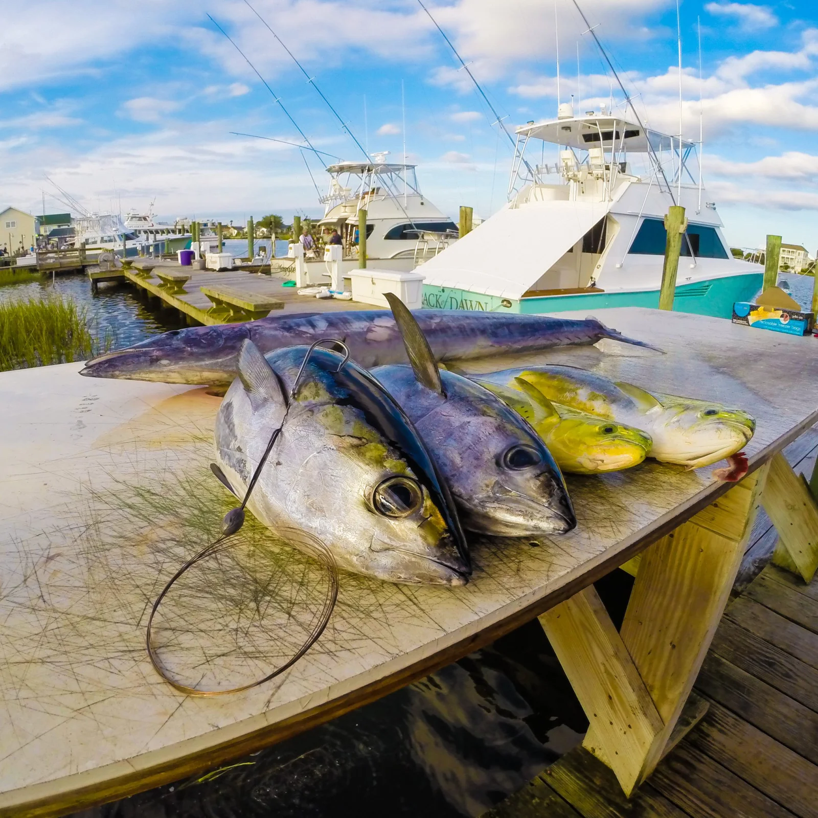 Fishing in Destin