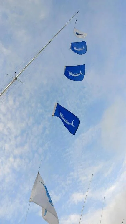 Offshore Fishing Trip