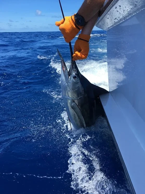 Offshore Fishing Trip