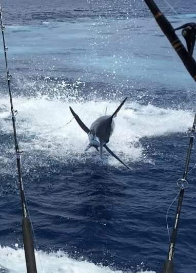 Offshore Fishing Trip