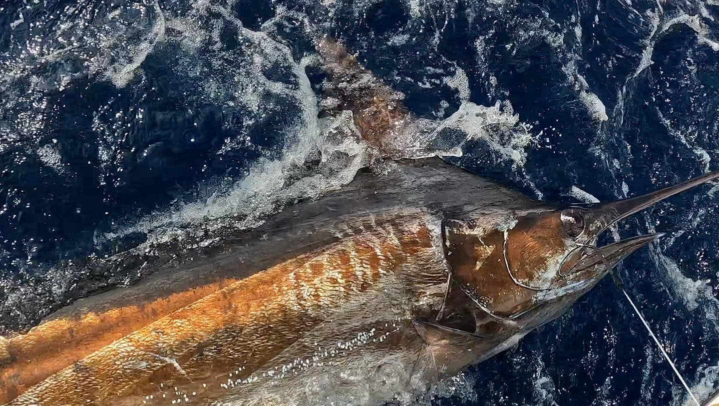Offshore Fishing Trip