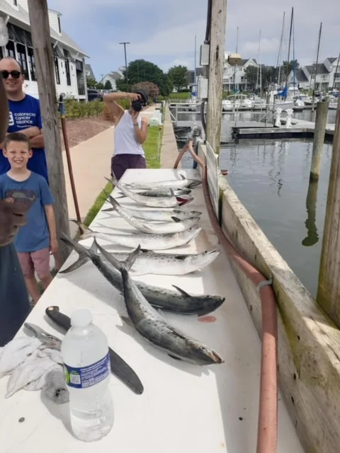 Virginia Inshore Trips