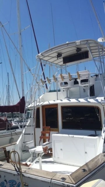 Virginia Inshore Trips