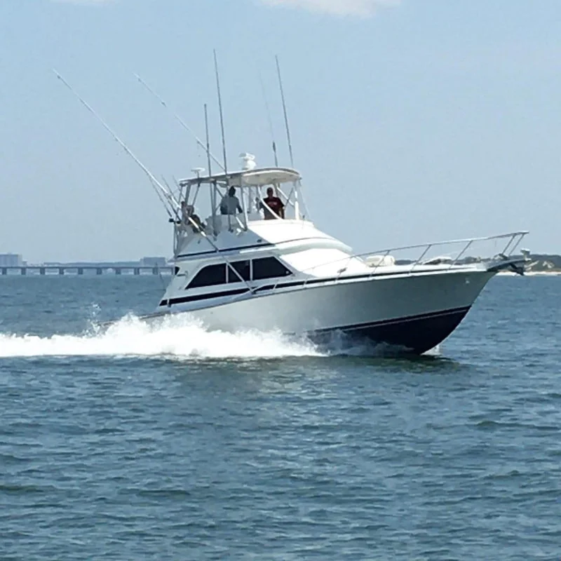 Virginia Inshore Trips