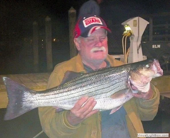 Virginia Inshore Trips
