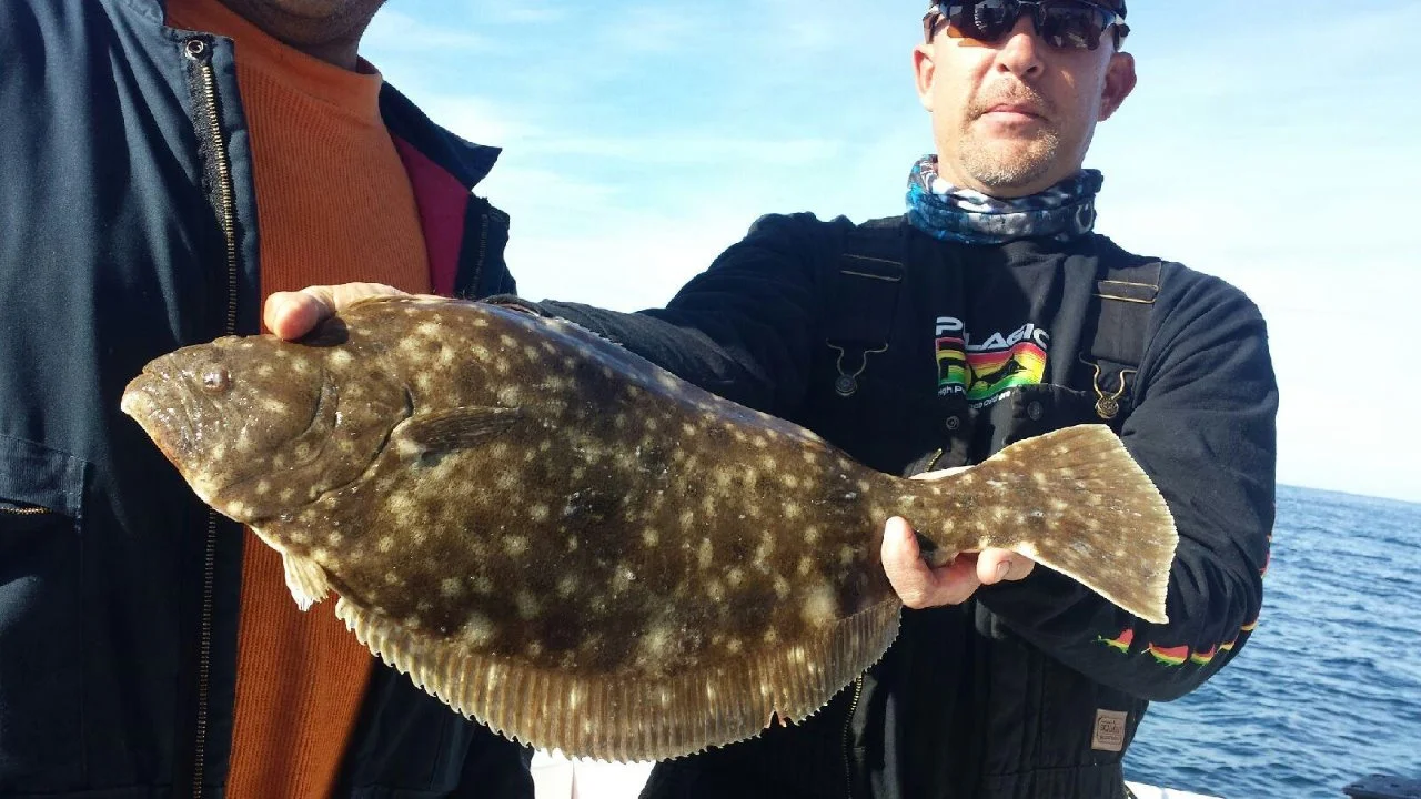 Virginia Inshore Trips