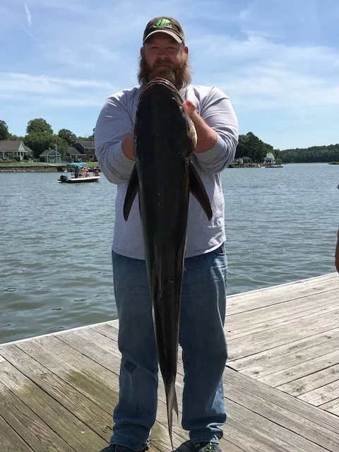 Virginia Inshore Trips