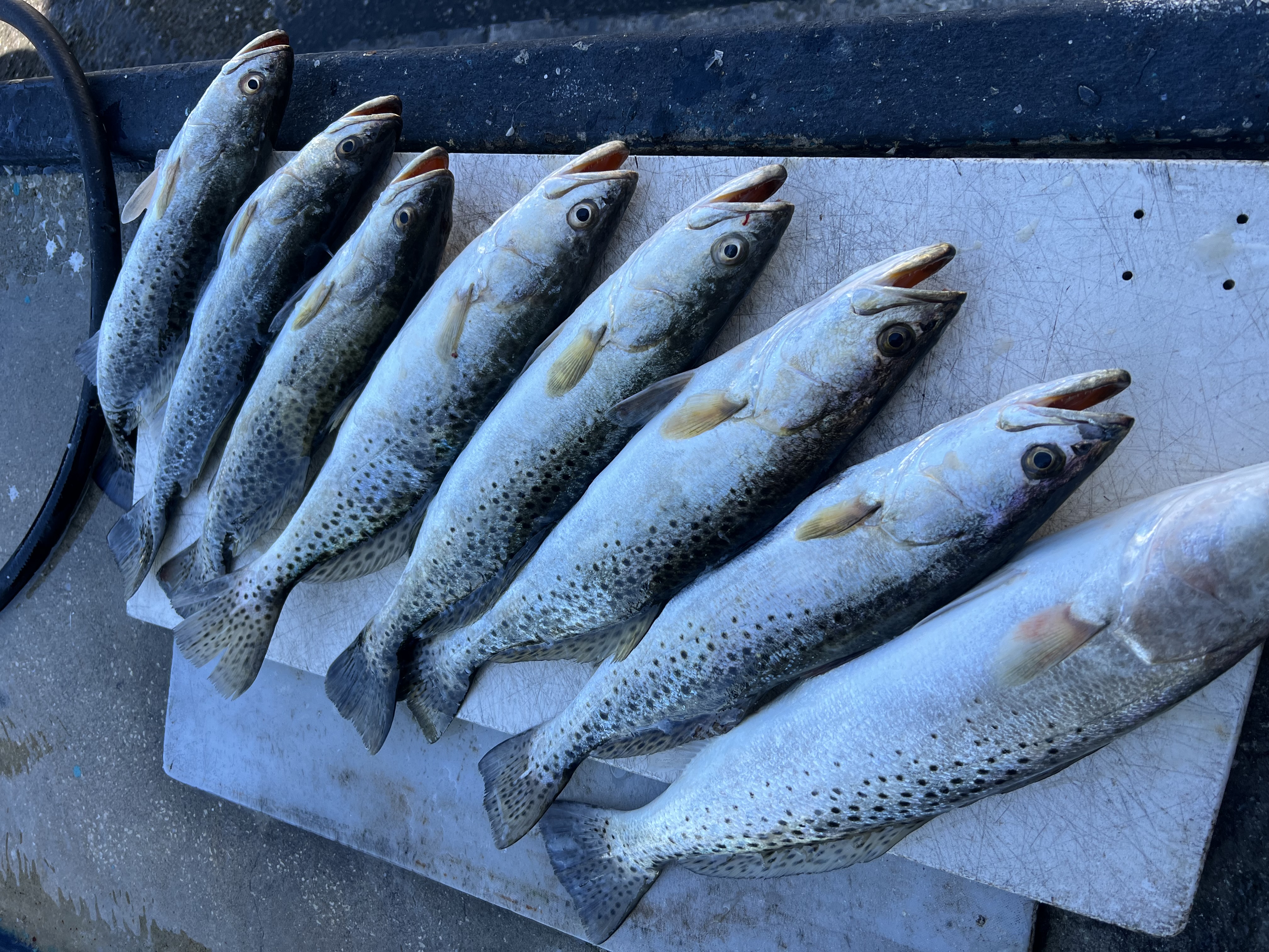 6-HR— Inshore