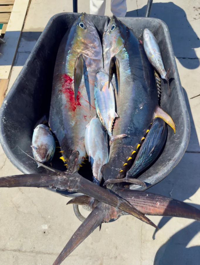 Fishing in Destin