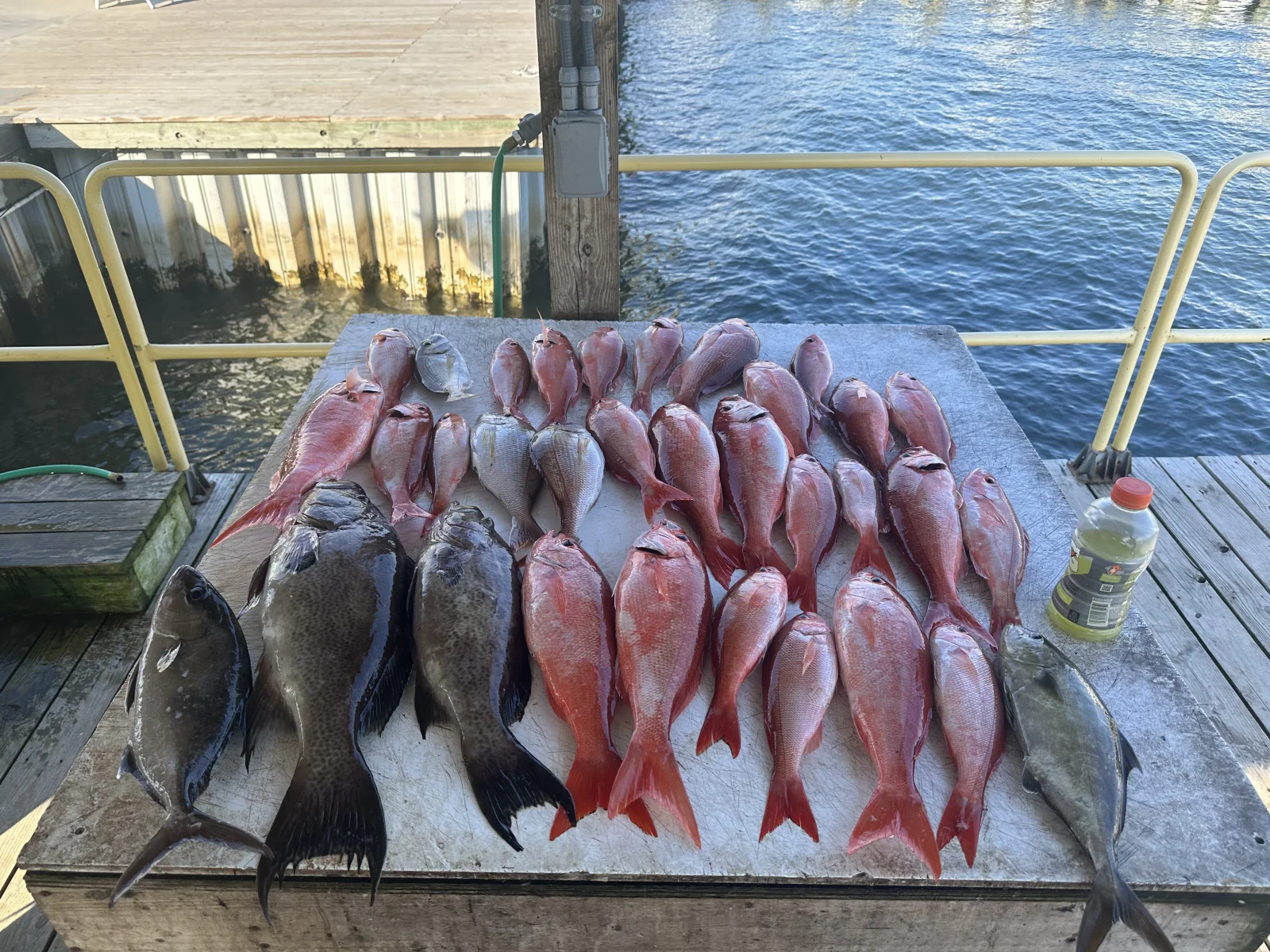 Fishing in Destin