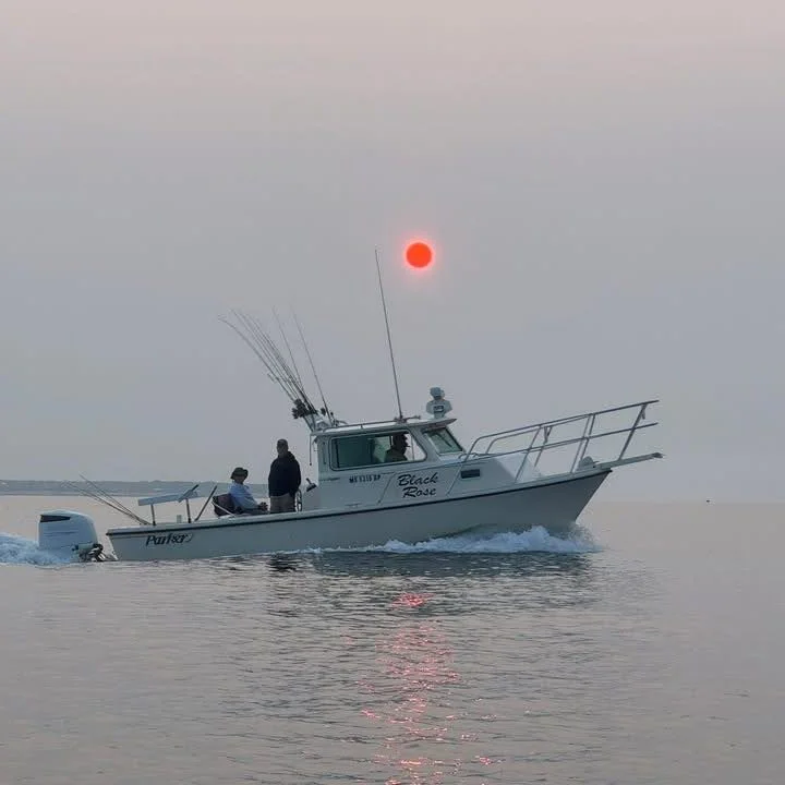 Cape Cod Porgy Fishing