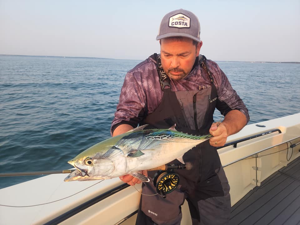 Cape Cod False Albacore & Bonito