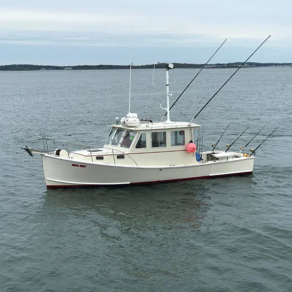 10-12 Hour Trip – Offshore