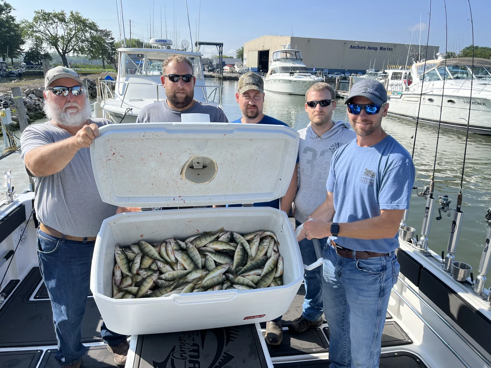 Morning Wallaye or Perch charter
