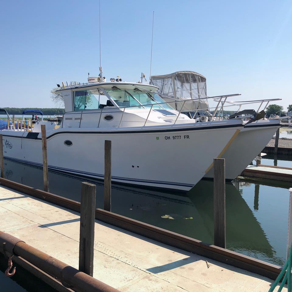 Morning Wallaye or Perch charter