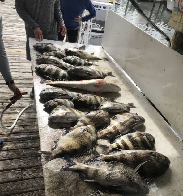 Fishing in Destin