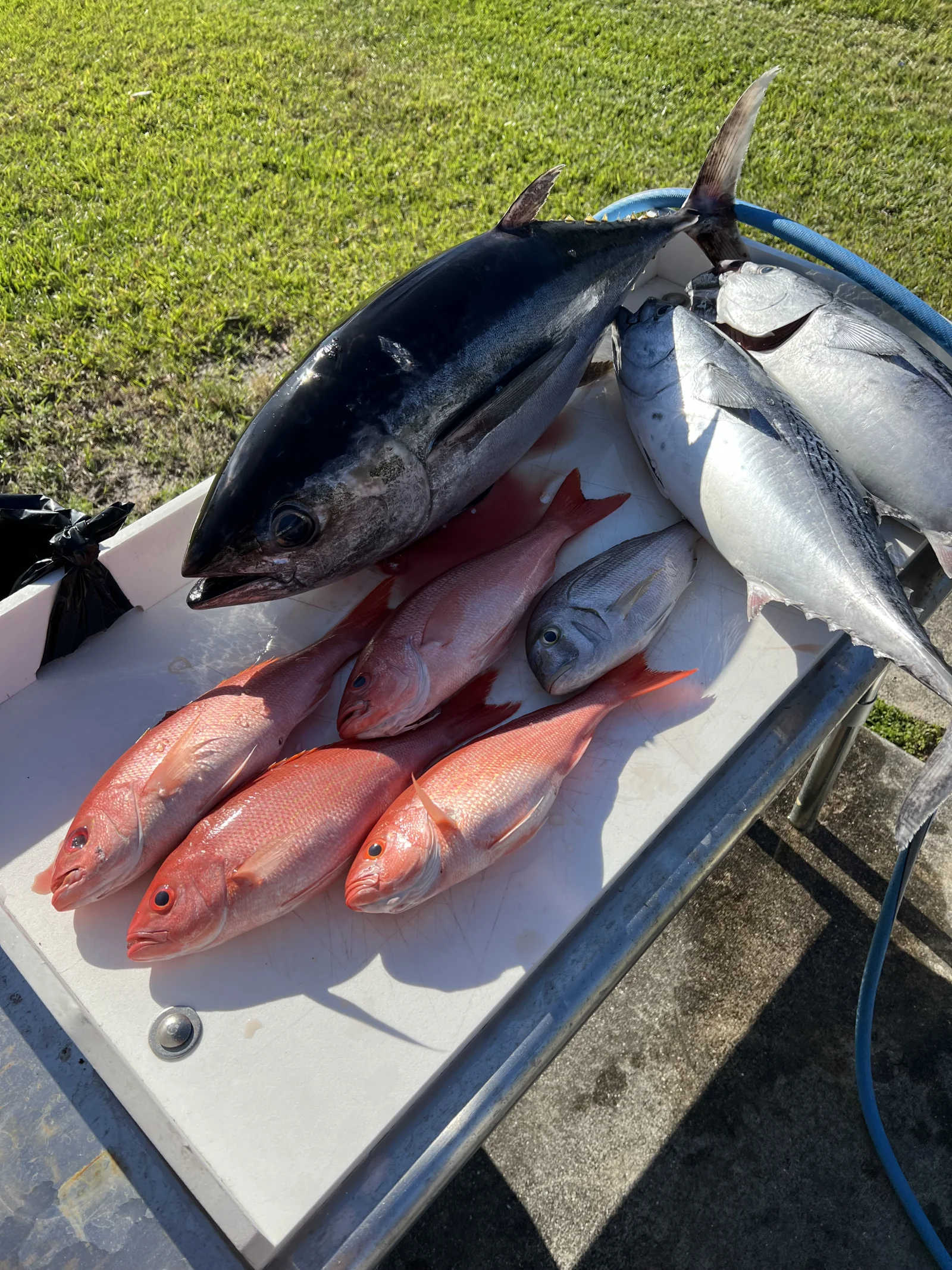 Offshore Bluewater Adventure 