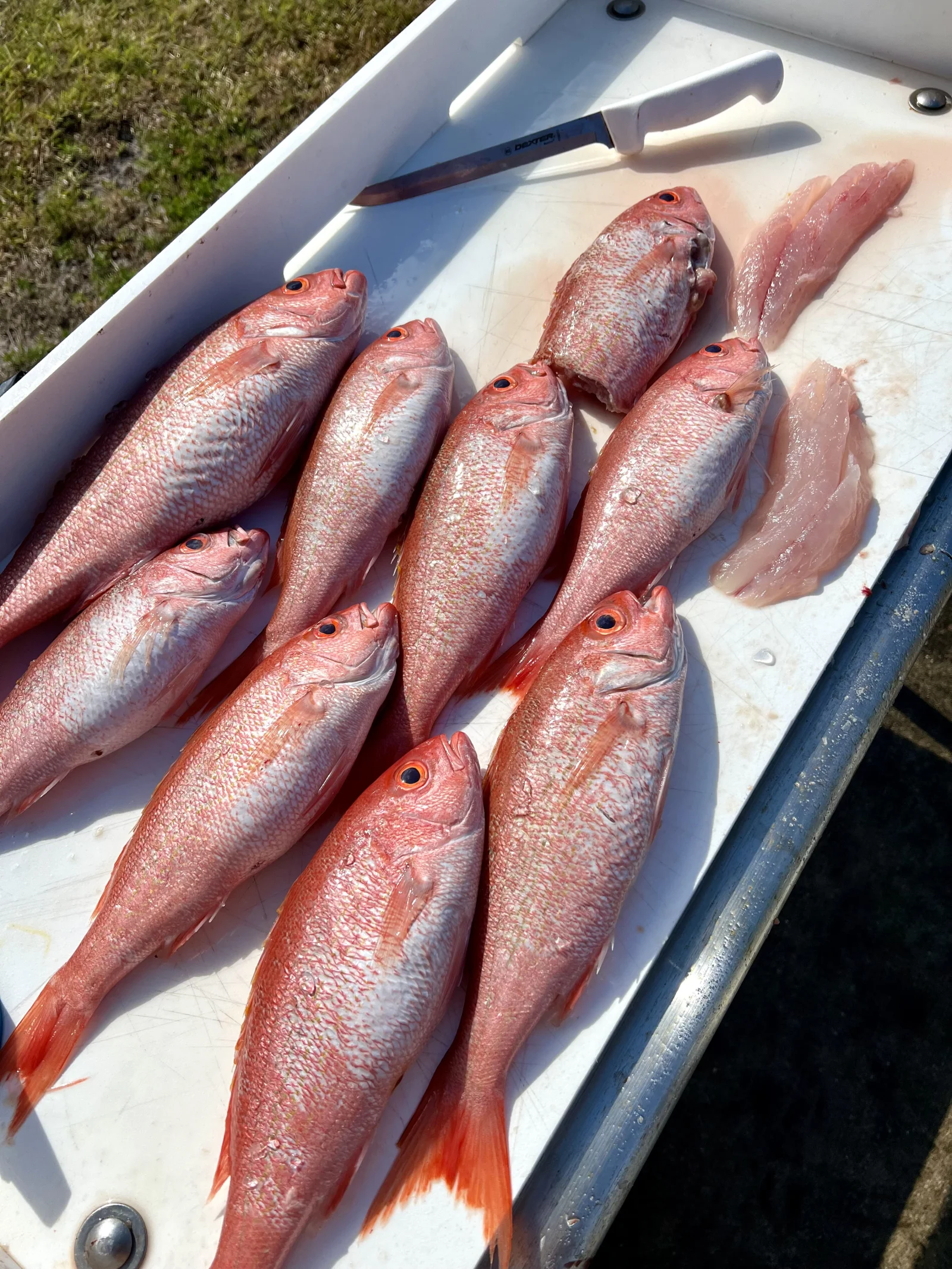 Offshore Bluewater Adventure 