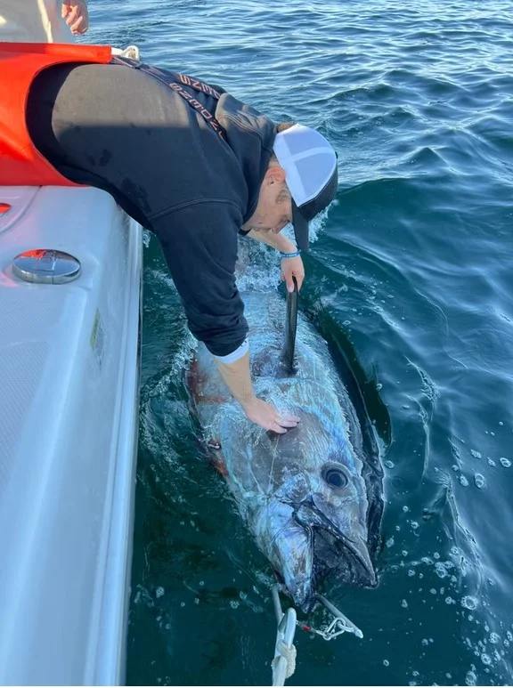 Full Day Giant or Rec Bluefin