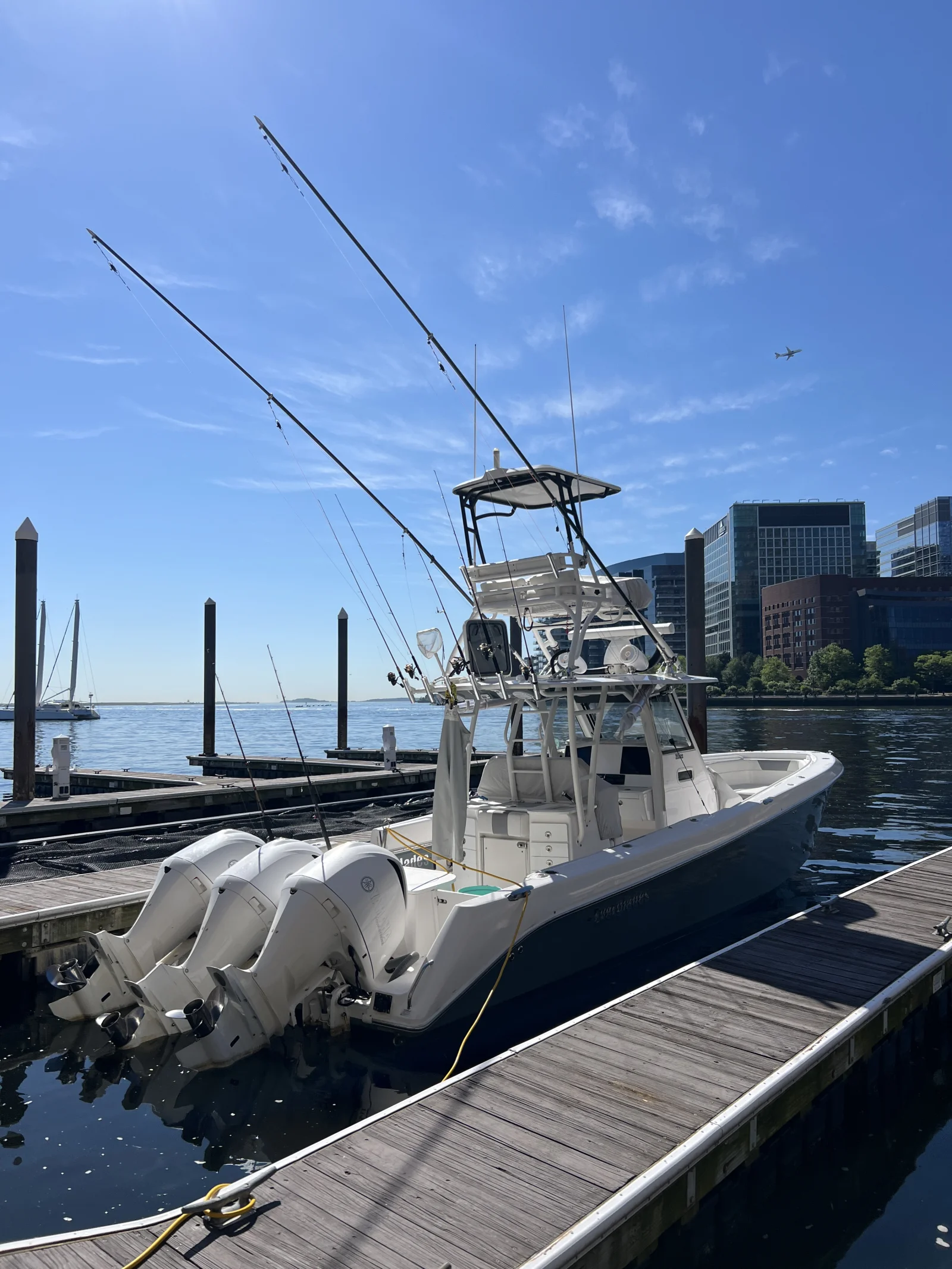 Full Day Giant or Rec Bluefin