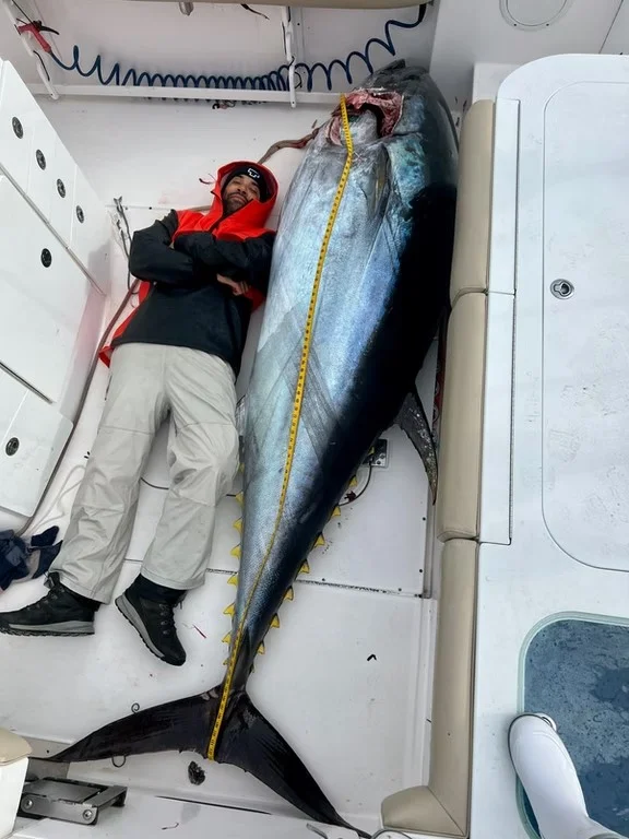 Full Day Giant or Rec Bluefin