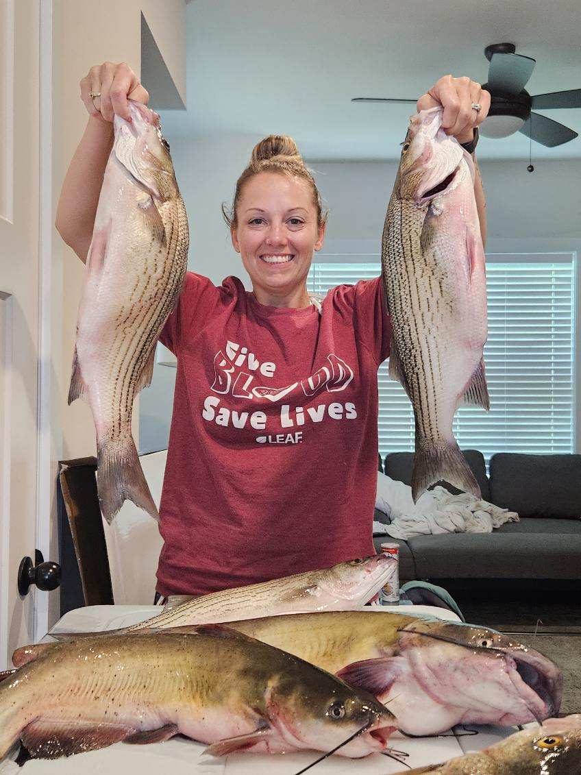 Hybrid striped bass 4hr trip