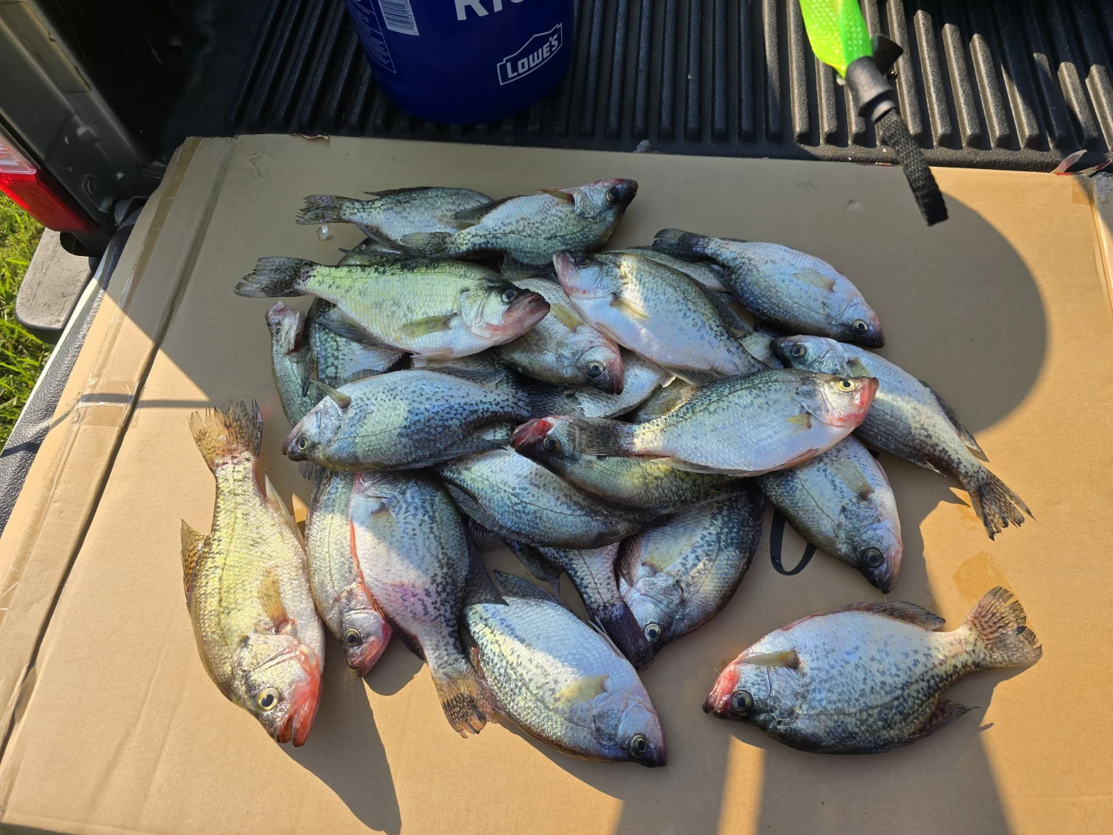 Crappie 4hr trip