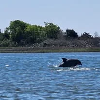 Island Tours