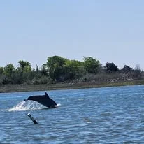 Island Tours