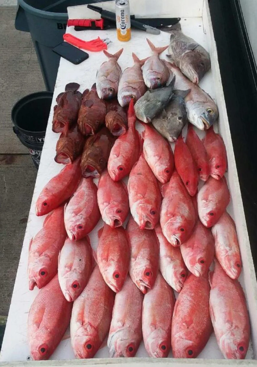 Fishing in Destin