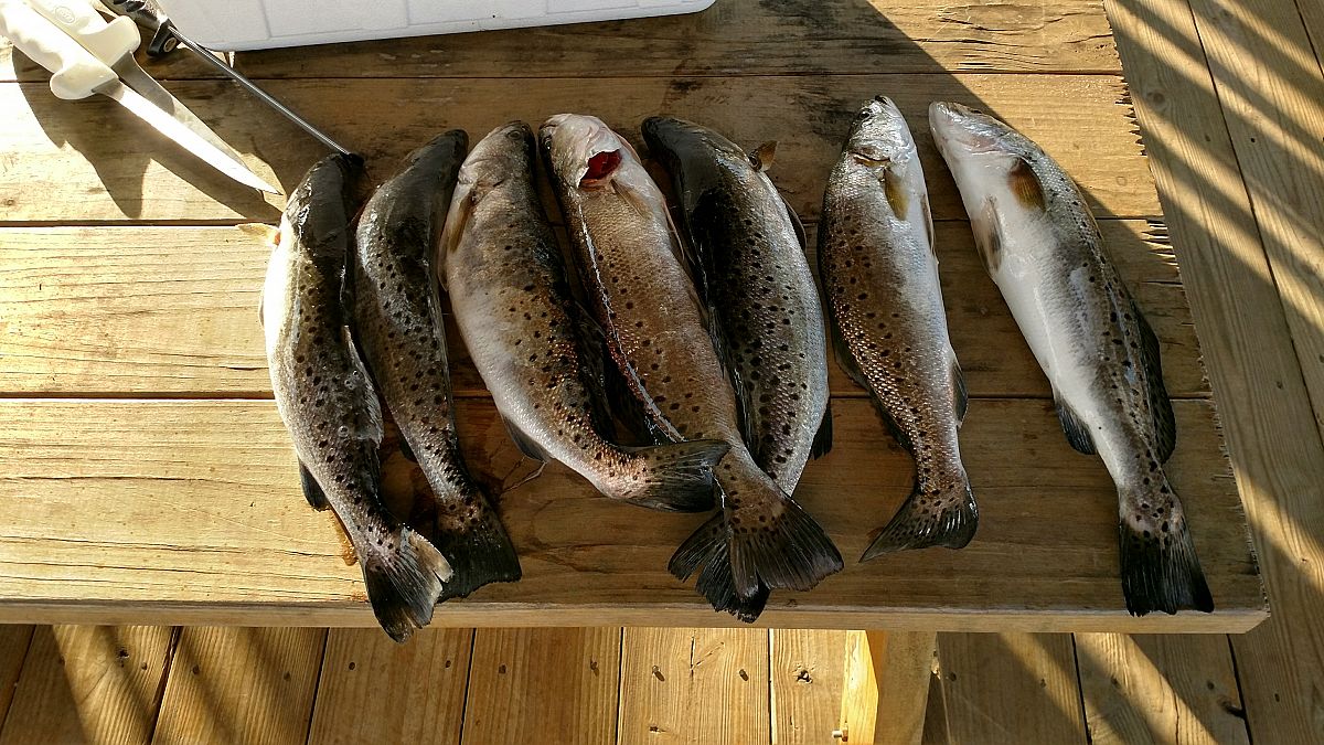 Fishing in Destin