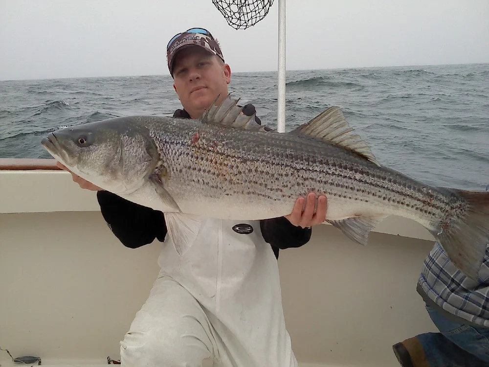 8 Hour Trip – Fluke/Striped Bass