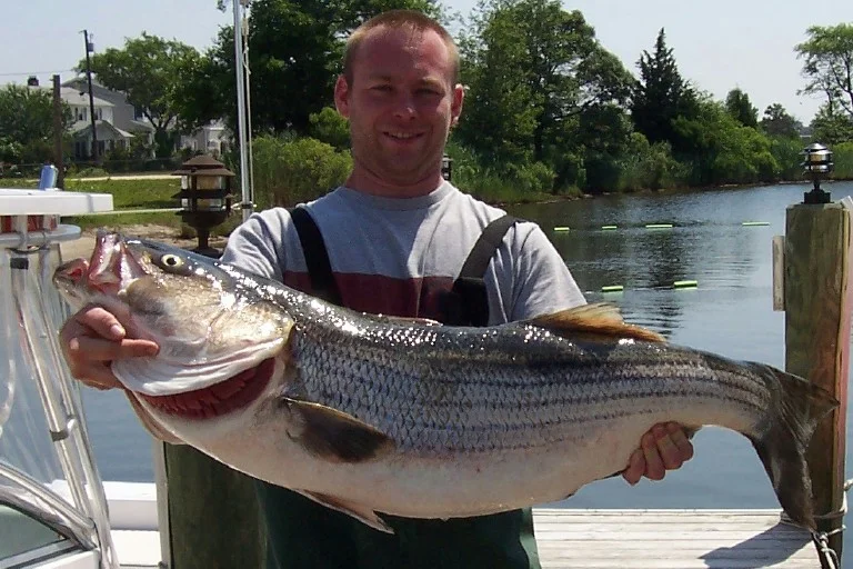 8 Hour Trip – Fluke/Striped Bass