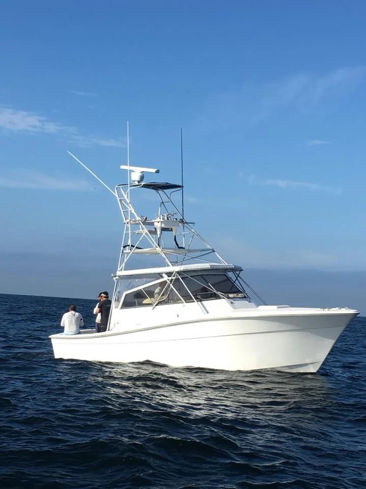 Full and half day offshore.