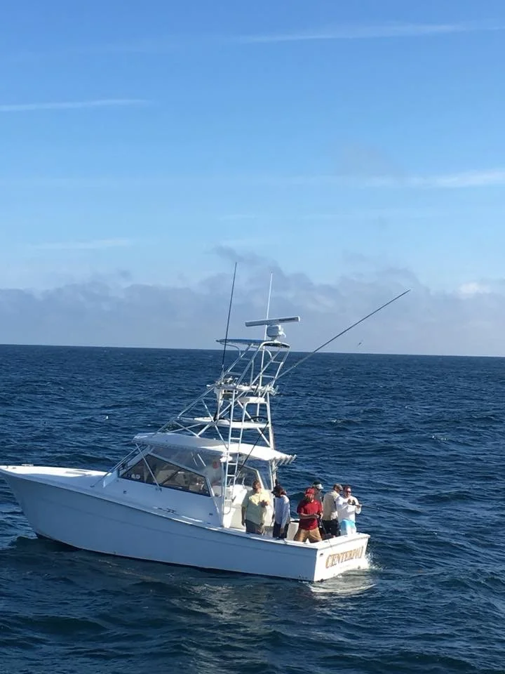Half day offshore 